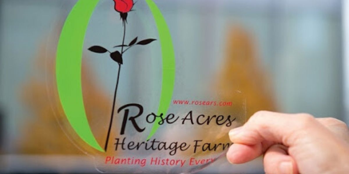 impresion-digital-vinilo-estatico Vinilo Estático